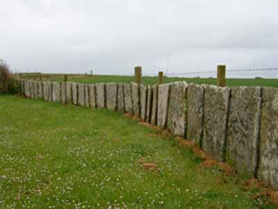 Caithness fence 1